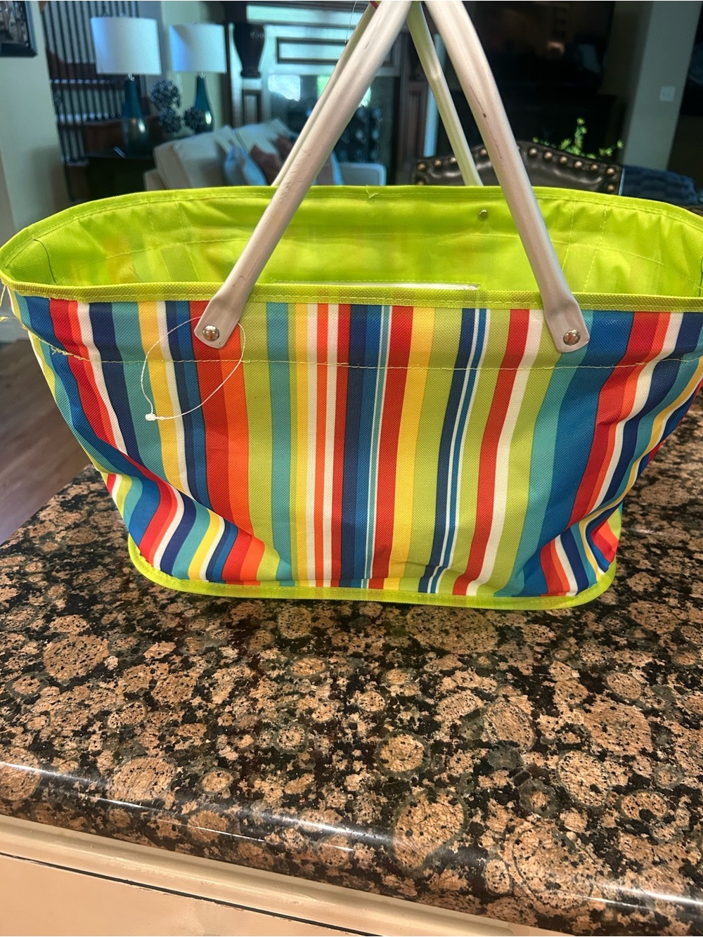 NWOT collapsible picnic basket/beach bag